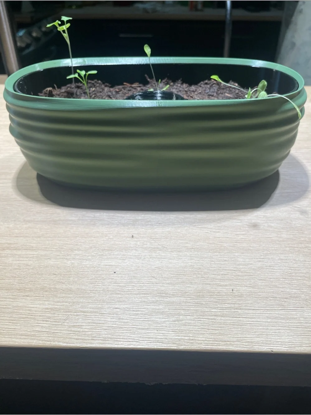 3D printed Green Self-Watering Indoor Planter - Modern Oval Herb Pot